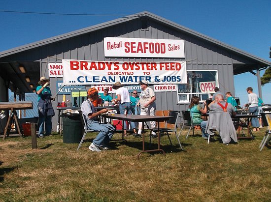 Brady's Oysters image