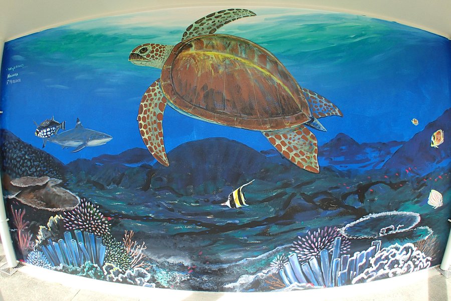 Tauese P.F. Sunia Ocean Center (National Marine Sanctuary of American Samoa) image