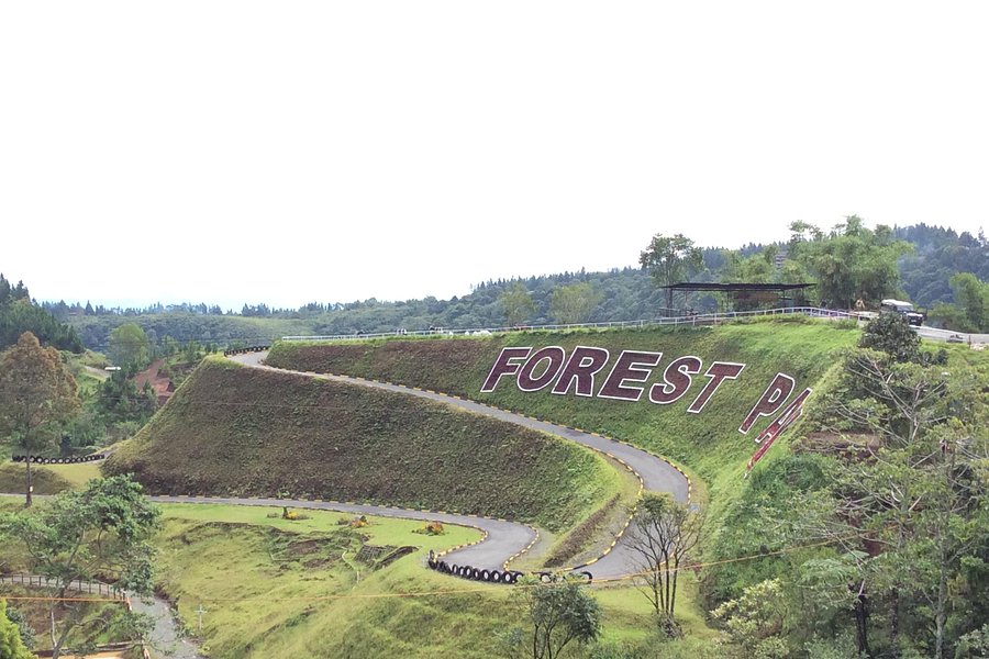 Dahilayan Forest Park Resort image