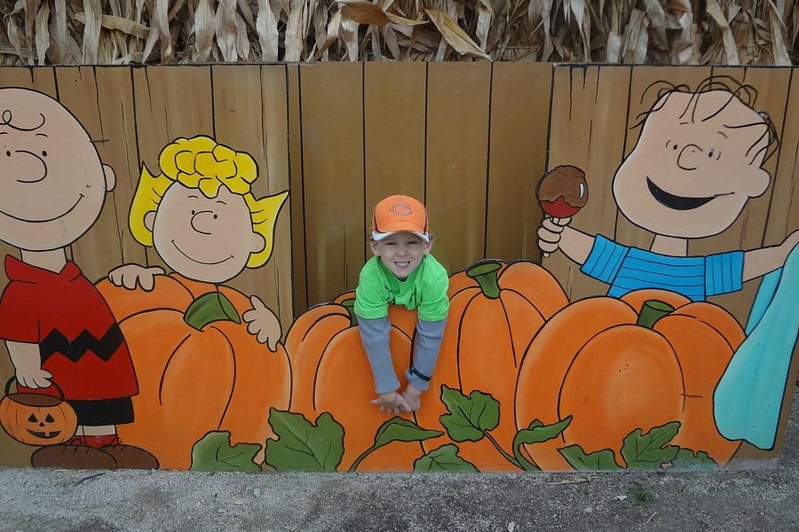 Goebbert's Pumpkin Farm image