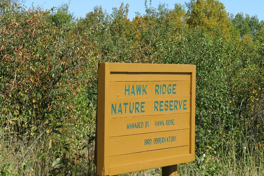 Hawk Ridge Bird Observatory image
