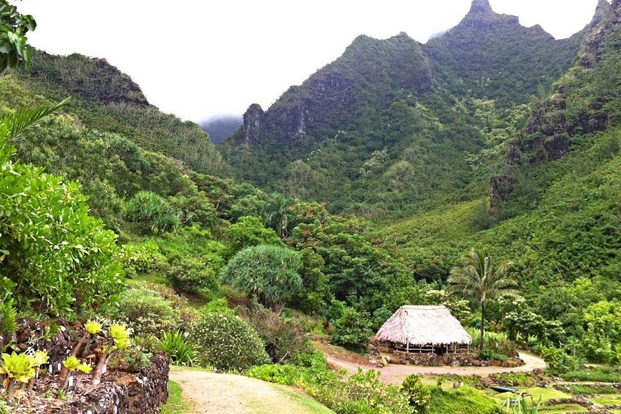 Limahuli Garden and Preserve image