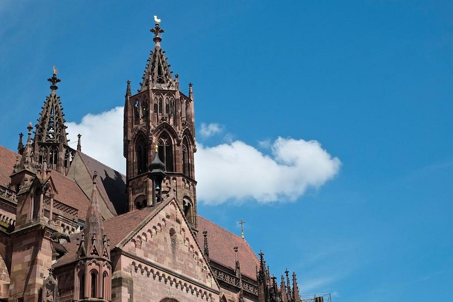 Freiburg Cathedral image