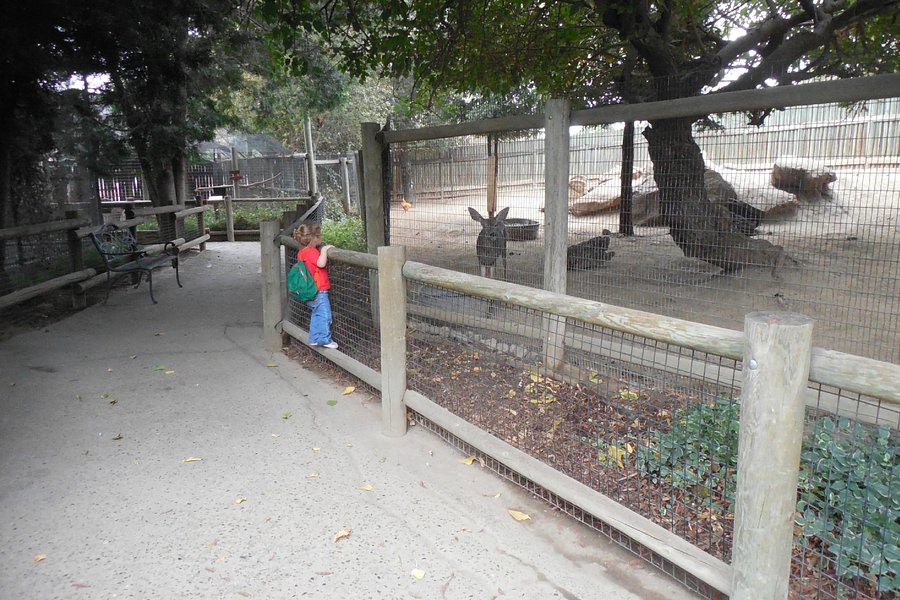 Applegate Park Zoo image