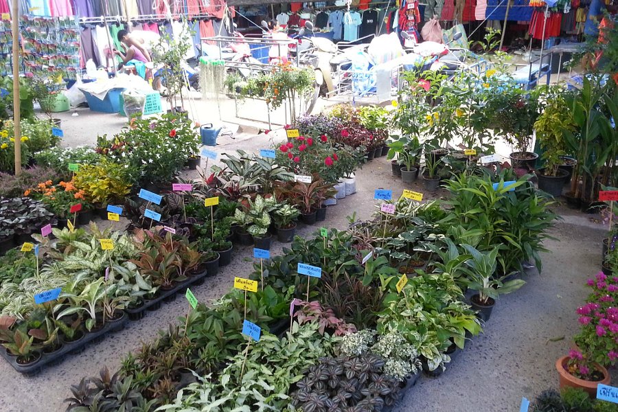 Soi Buakhao Market image