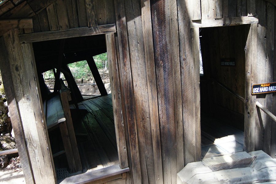 The Oregon Vortex House of Mystery image
