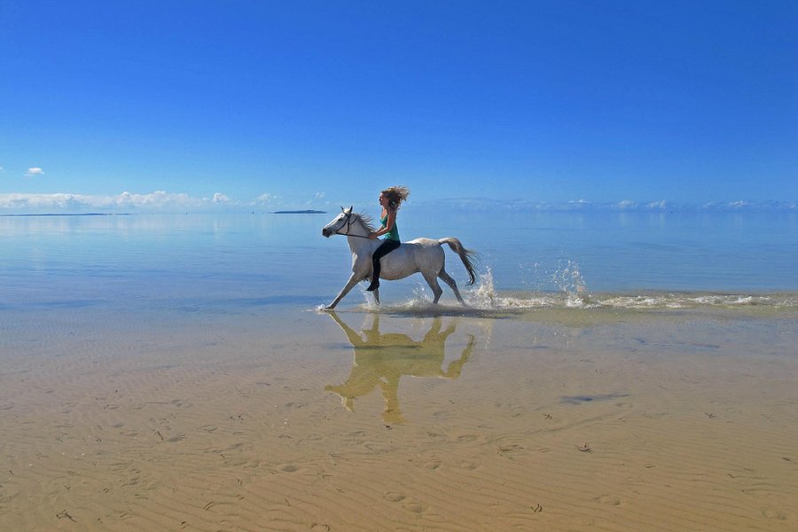 Mozambique Horse Safari image