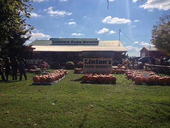 Linton's Farm Market image