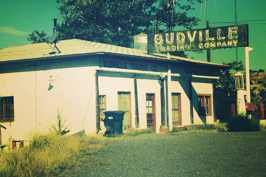 Budville Trading Post image