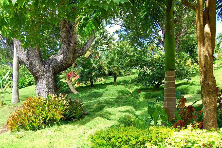 Sunnyside Garden image