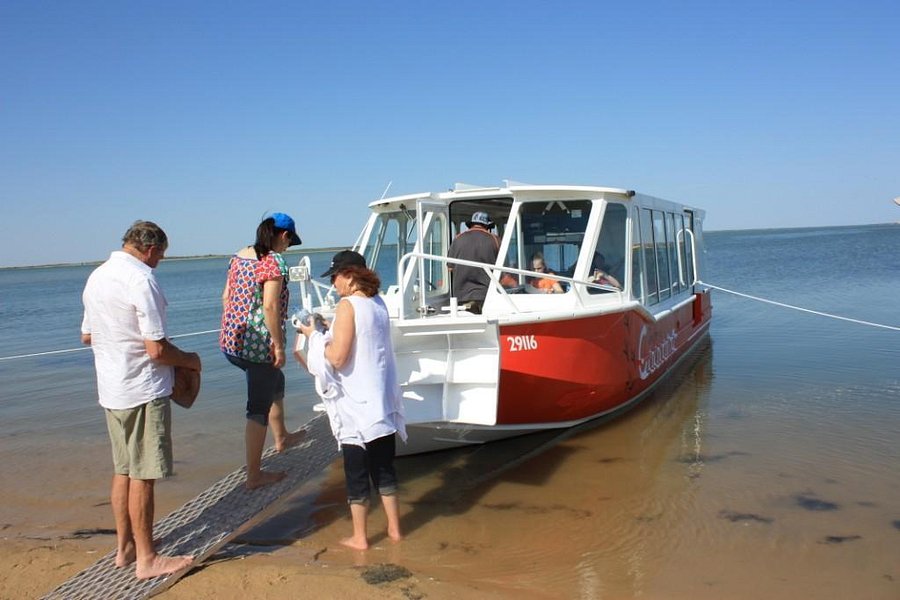 Cruise The Coorong image