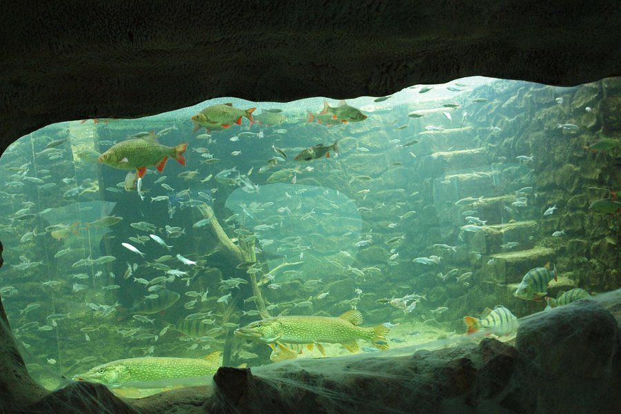 Aquarium du Perigord Noir image