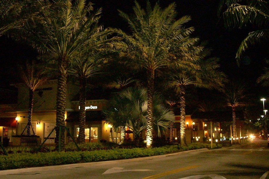 The Palms at Town & Country image