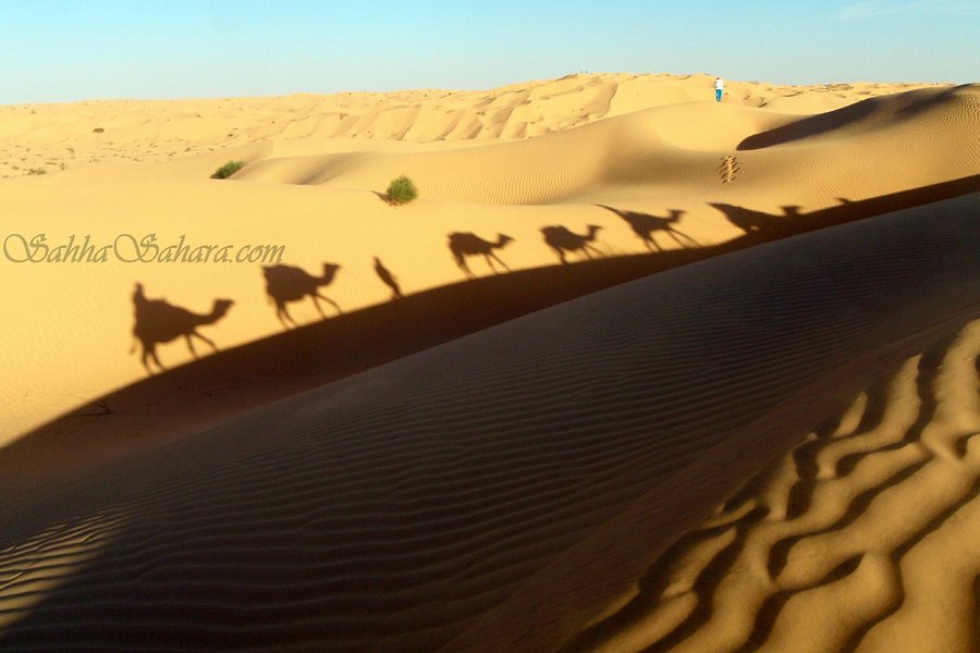 Sahha Sahara image