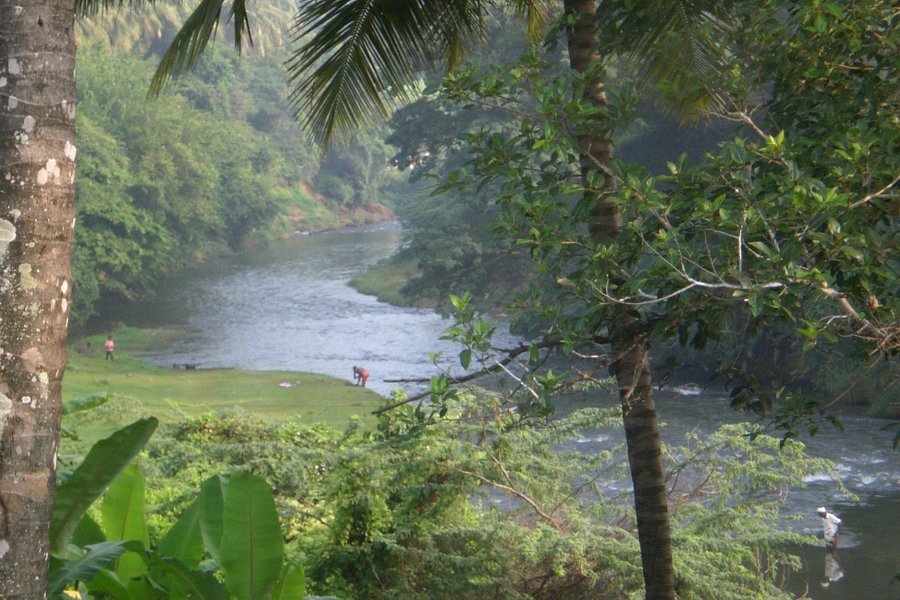 Attapadi Reserve Forest image