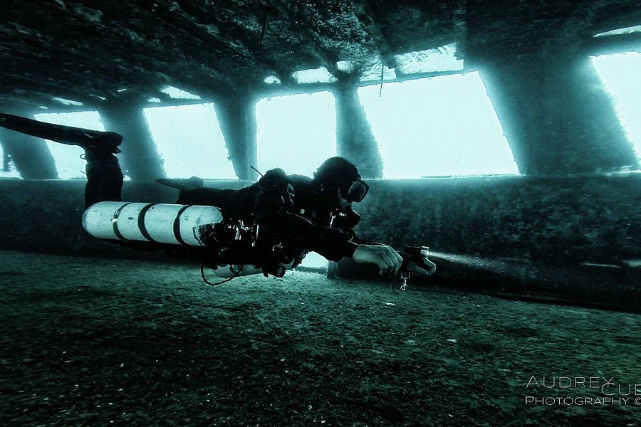 Gozo Diving image