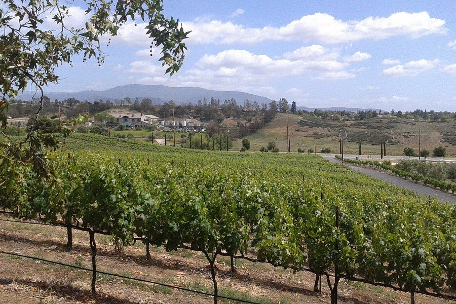 Hart Winery image
