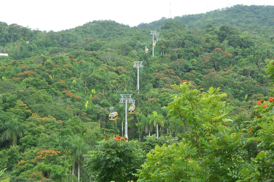 Parque Forestal La Marquesa image