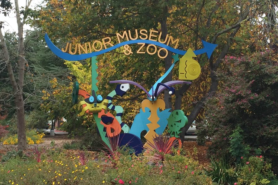 Palo Alto Junior Museum & Zoo image