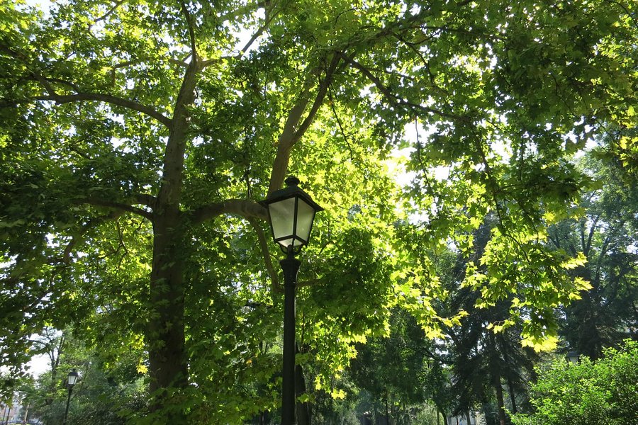 Zemunski Park image