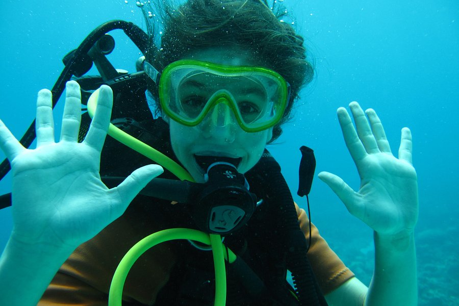 Dive Dream Divers image