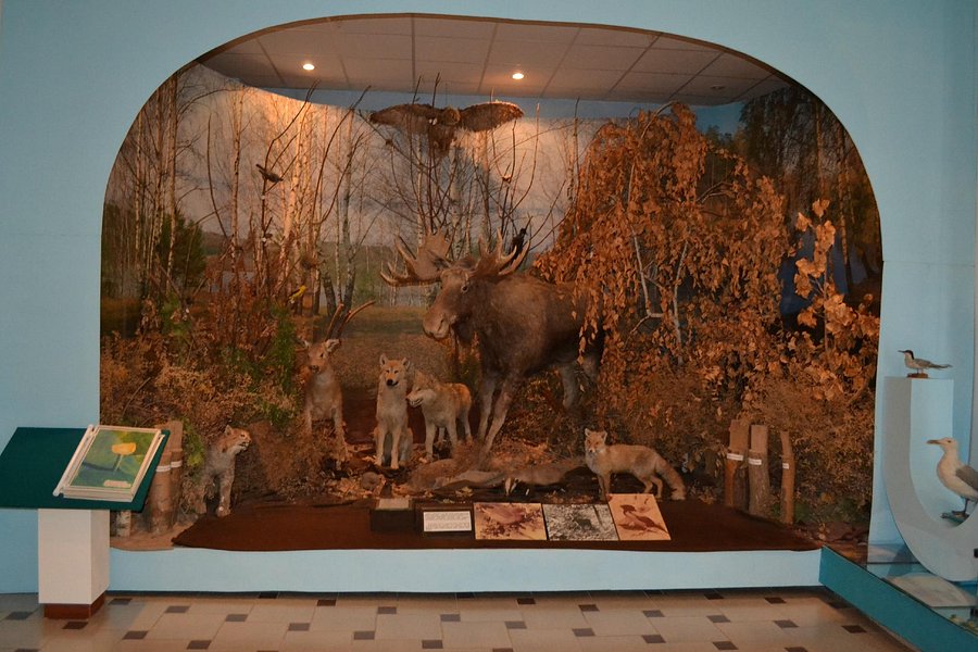 Nature and Ecology Museum image