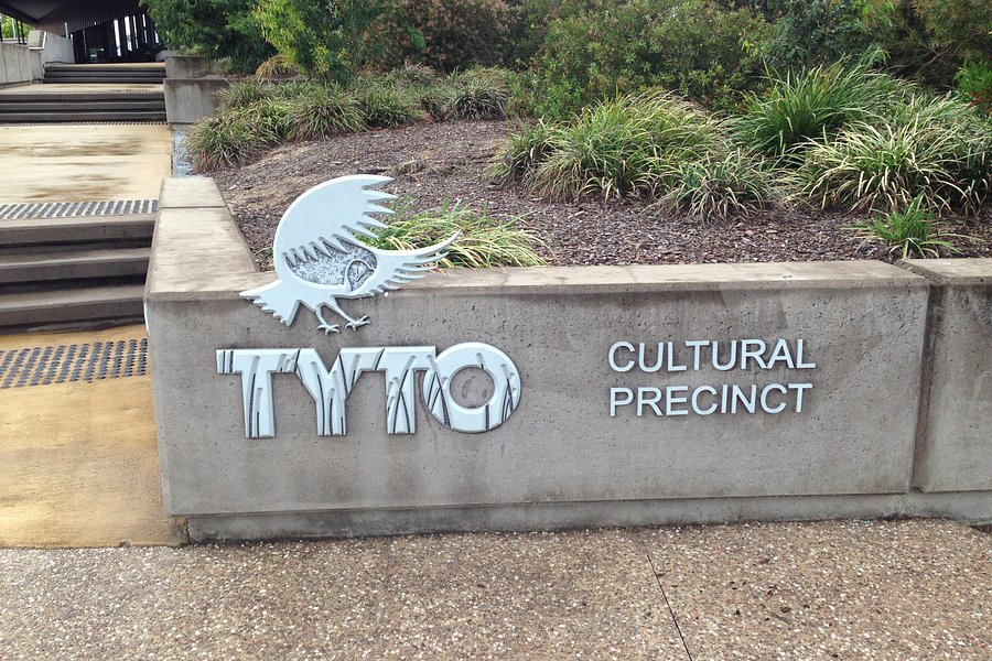 TYTO Regional Art Gallery image