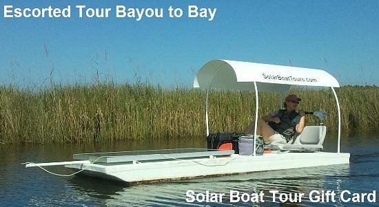 Solarskiff Boats &Tours image