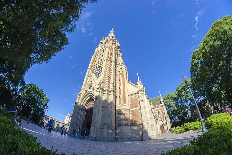 Catedral de San Isidro image