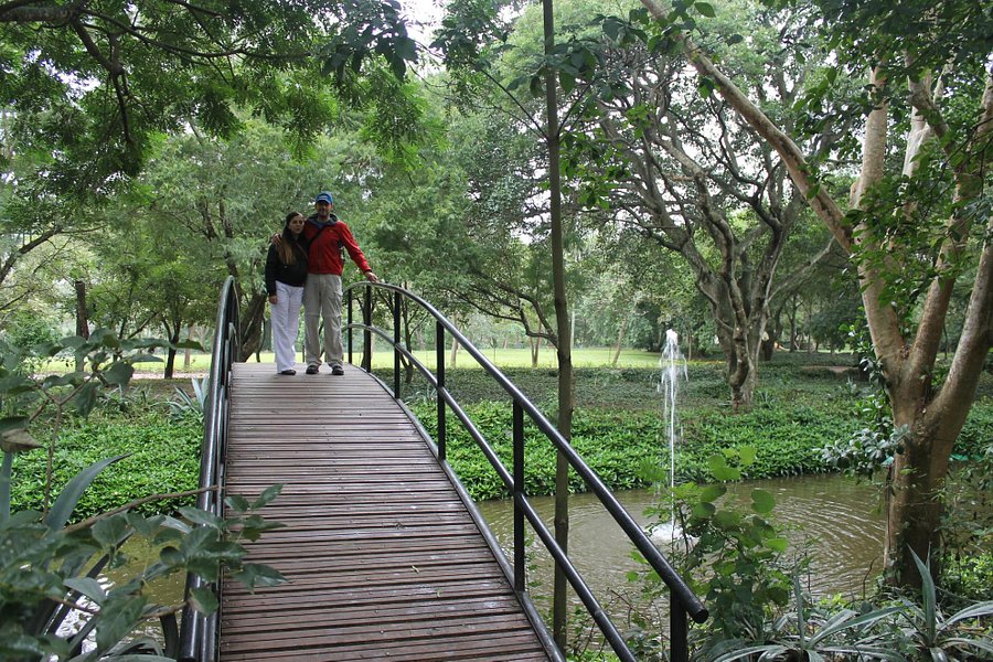 Jardin Botanico Santa Cruz image