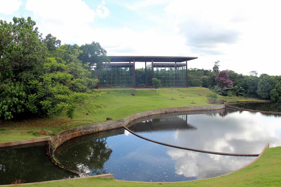 Jardim Botanico de Londrina image