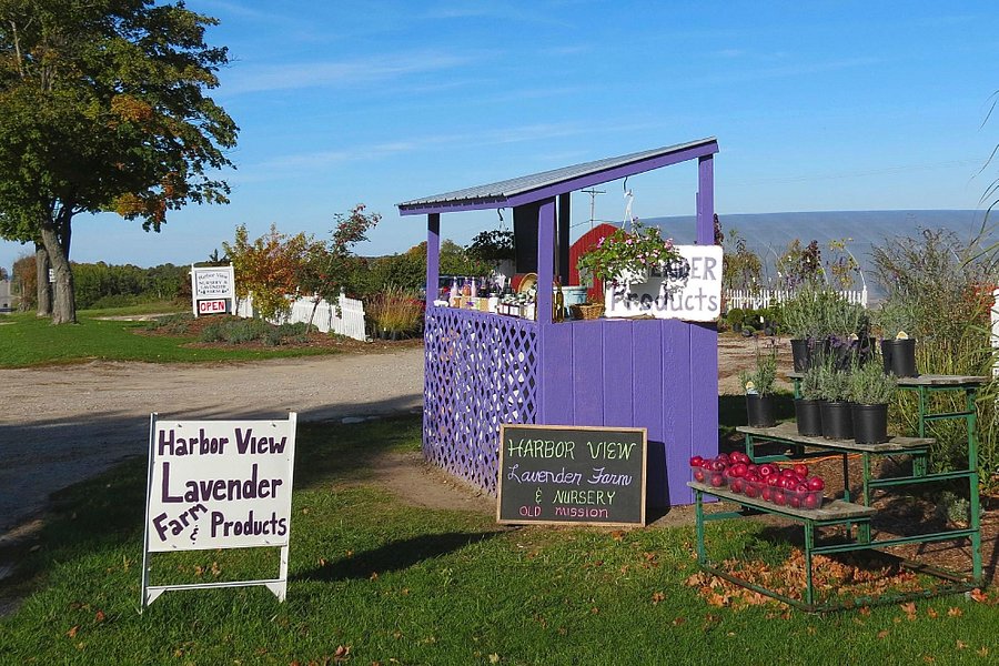 Harbor View Nursery & Lavender Farm image