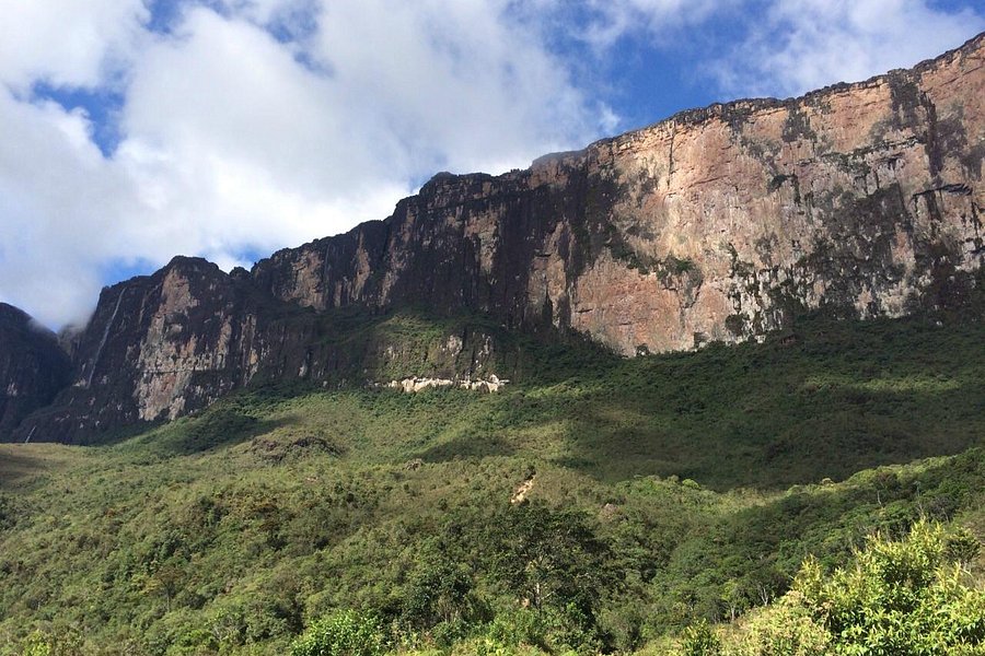Parque Nacional do Monte Roraima image