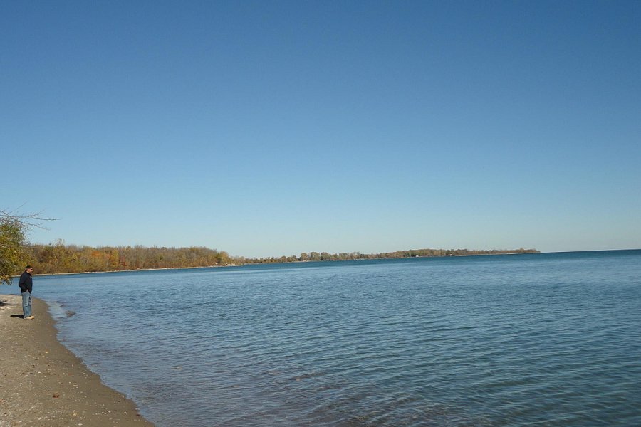 Fish Point Nature Reserve image