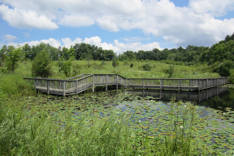 Gorman Nature Center image