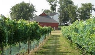 Ardon Creek Vineyard and Winery image