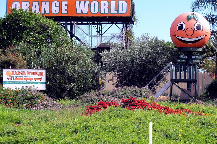 Orange World image