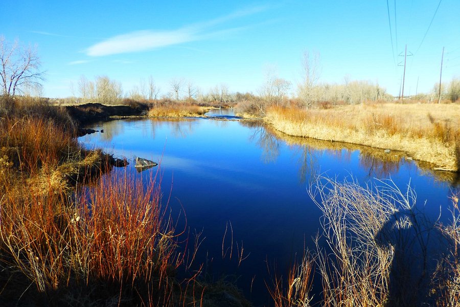 South Platte Park and the Carson Nature Center image