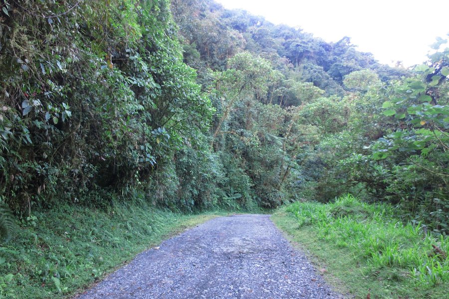 Mirador Trail image