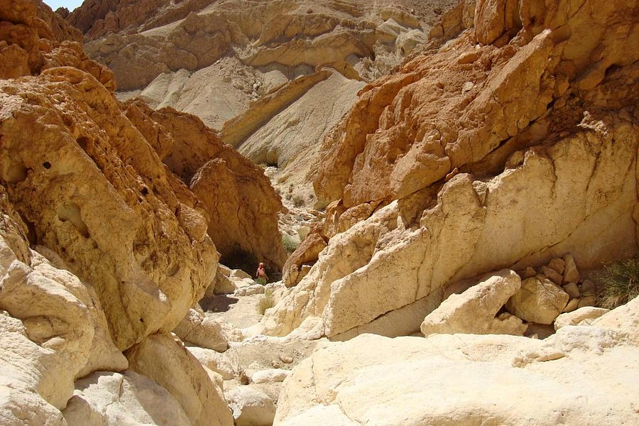 Tamerza Canyon image