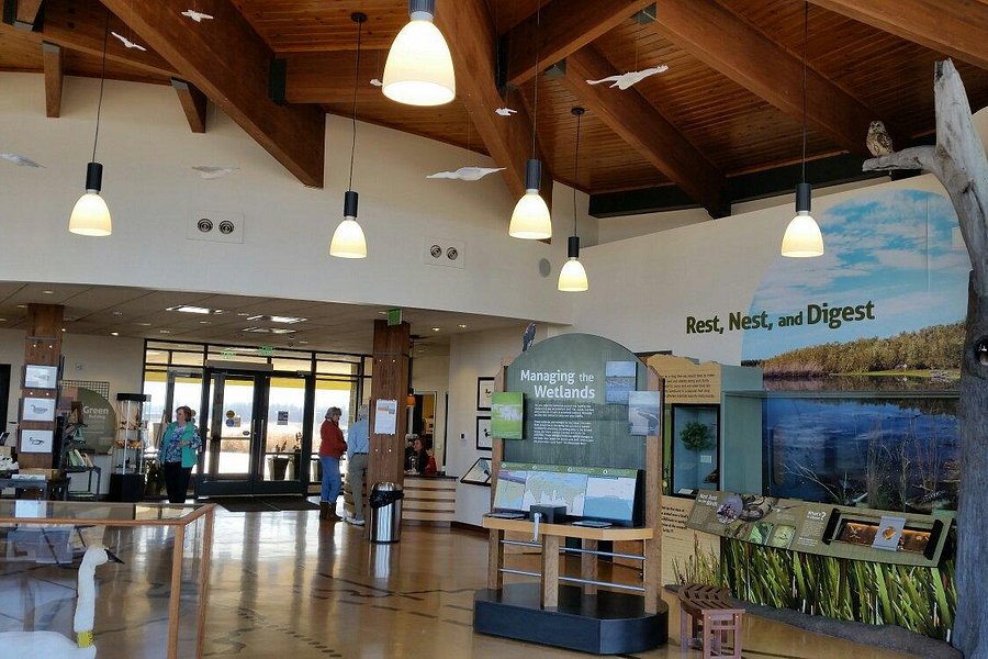 Audubon Center at Riverlands image