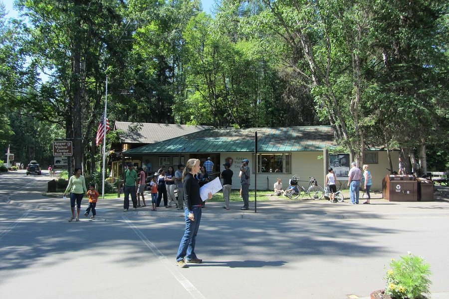 Apgar Visitor Center image