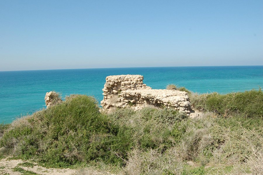 Ashkelon national park image