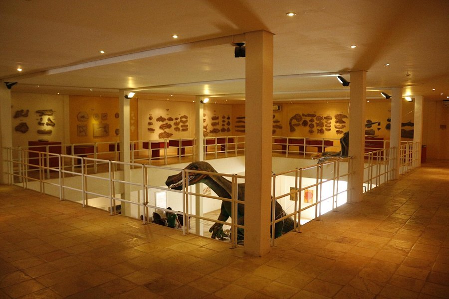 Museu de Paleontologia Placido Cidade Nuvens image