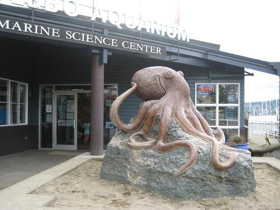 SEA Discovery Center image