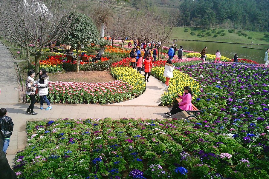 Huawurenjian Tourism Area (People and dancing flowers) image