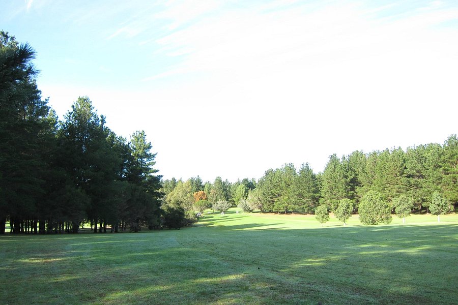 South Pines Golf Club image