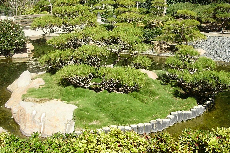 Earl Burns Miller Japanese Garden image