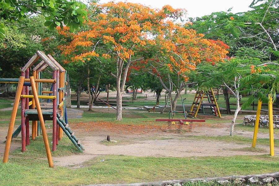 Parque Espejo de Agua Park image