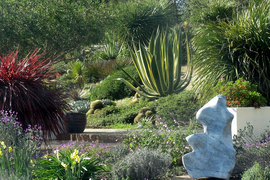 UCSC Arboretum image